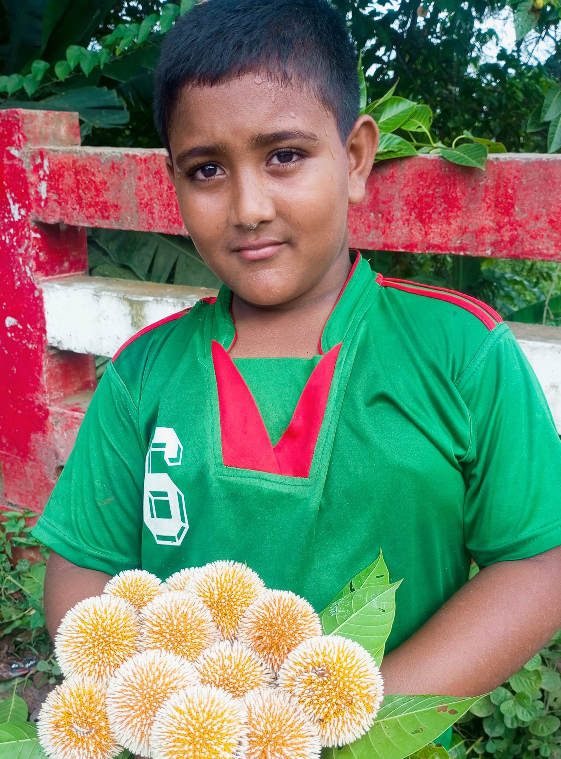 বর্ষার ফুল কদম