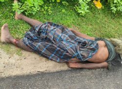 কলাপাড়ায় অজ্ঞাত ব্যক্তির মরদেহ উদ্ধার