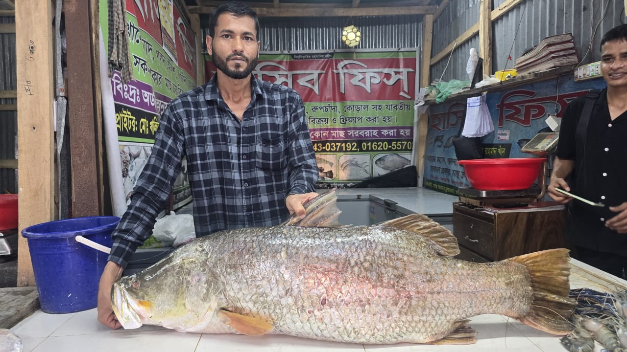 কুয়াকাটায় জেলের জালে২২ কেজি ওজনের কোরাল মাছ