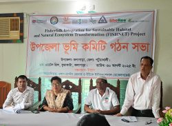 কলাপাড়ায় ‘উপজেলা ভূমি কমিটি’ গঠন।