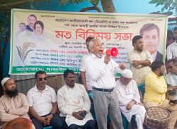 গোপালগঞ্জের কাশিয়ানীতে জাতীয় সংসদ নির্বাচন উপলক্ষে বিএনপির মতবিনিময় সভা