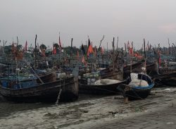 নিষেধাজ্ঞা শেষে ইলিশ আহরণে মেঘনায় নামবেন লক্ষ্মীপুরের লক্ষাধিক জেলে