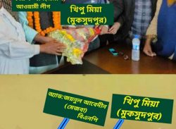 মুকসুদপুরে ভূমি দখল ও হয়রানির অভিযোগ, সামাজিক যোগাযোগমাধ্যমে ক্ষোভ