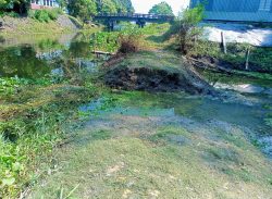 কাশিয়ানীতে মন্দিরের চলাচলের রাস্তা  দখল, ভক্তদের ভোগান্তি 