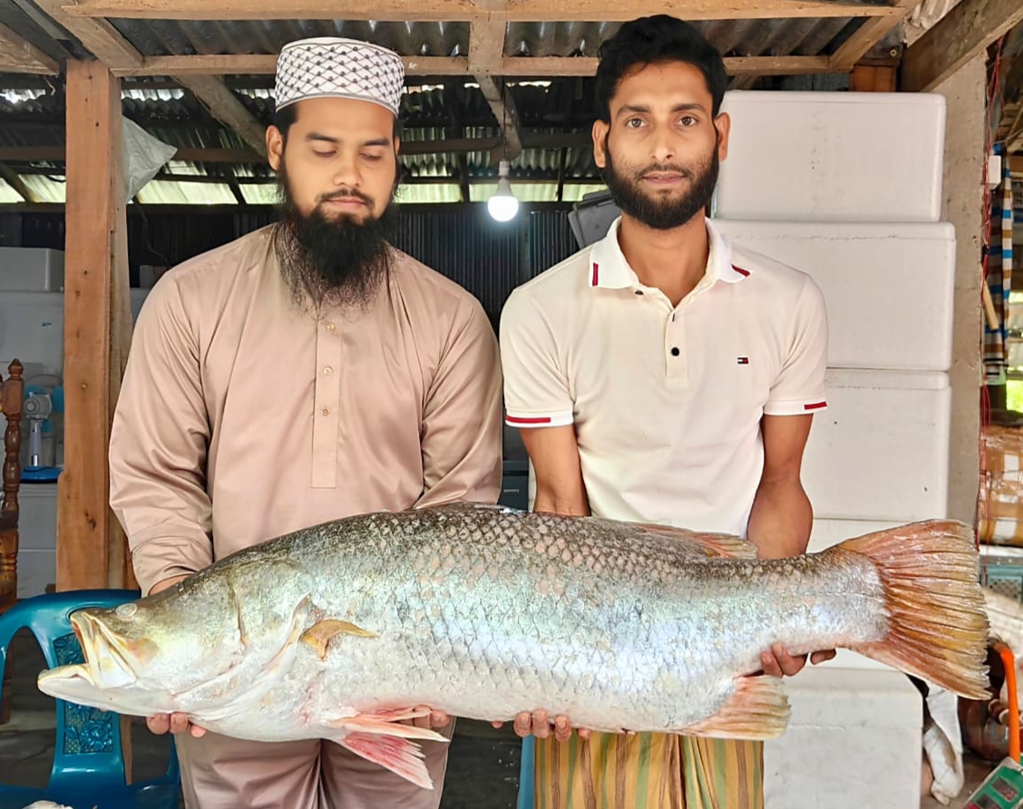 কুয়াকাটায় এক কোরাল মাছ ২৬ হাজার টাকায় বিক্রি। 