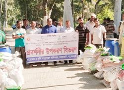 মোল্লাহাটে কৃষি উপকরণ বিতরণ 