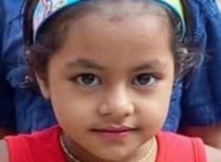 লক্ষ্মীপুরে বিএনপি নেতার ঘরে অগ্নিসংযোগের অভিযোগ: নিহত ১ শিশু, আহত ৩