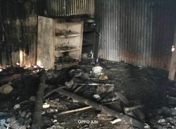 লক্ষ্মীপুর জেলা নির্বাচন অফিসে অগ্নিসংযোগ, গ্রেপ্তার যুবক, নেপথ্যে ১০ হাজার টাকার চুক্তি