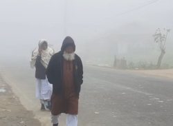 কলাপাড়ায় ঘন কুয়াশার সঙ্গে বেড়েছে শীতের তীব্রতা। 