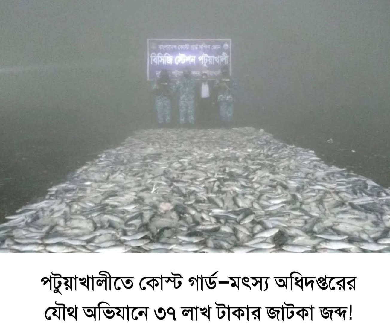 পটুয়াখালীতে কোস্টগার্ড ও মৎস অধিঃ অভিযানে৩৭ লক্ষ টাকার জাটকা জব্দ।