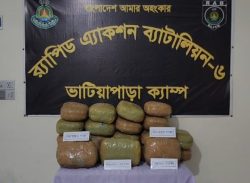 গোপালগঞ্জের কাশিয়ানীতে  ৪২ কেজি গাঁজা সহ দুই মাদক বিক্রেতাকে গ্রেপ্তার করেছে ভাটিয়াপাড়া র‍্যাব -৬