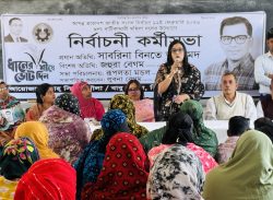 বিএনপি সরকার গঠন করলে নারীদের জন্য ফ্যামিলি কার্ড প্রদান করা হবে:  সাবরিনা বিনতে আহমেদ