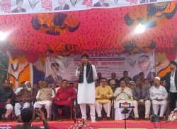 মোল্লাহাটে বিএনপি মনোনীত প্রার্থীর নির্বাচনী জনসভা অনুষ্ঠিত।