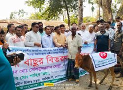 গোপালগঞ্জের কাশিয়ানীতে নিবন্ধিত জেলেদের মাঝে বকনা বাছুর বিতরণ করেন – সেলিমুজ্জামান সেলিম, এমপি