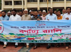 গলাচিপায় জাতীয় পল্লী উন্নয়ন দিবস উদযাপিত