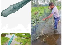 মোল্লাহাটে অবাধে ব্যবহার হচ্ছে চায়না দুয়ারী ও বেহুন্দিজাল: হুমকির মুখে জীব বৈচিত্র। 